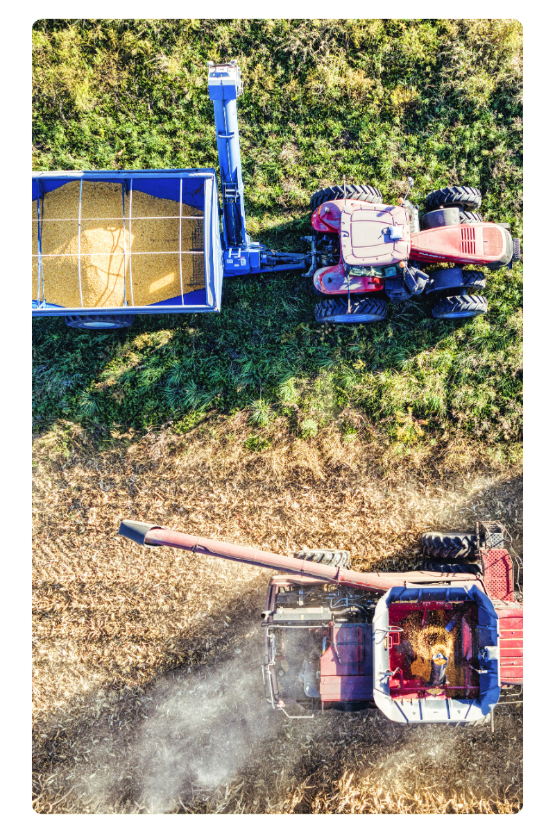 Industria Alimentare e Agroalimentare ProntoIndustria
